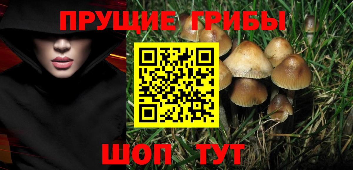 Псилоцибиновые грибы Cubensis  Вход с VPN  Назрань  Псилоцибиновые грибы ЛСД 